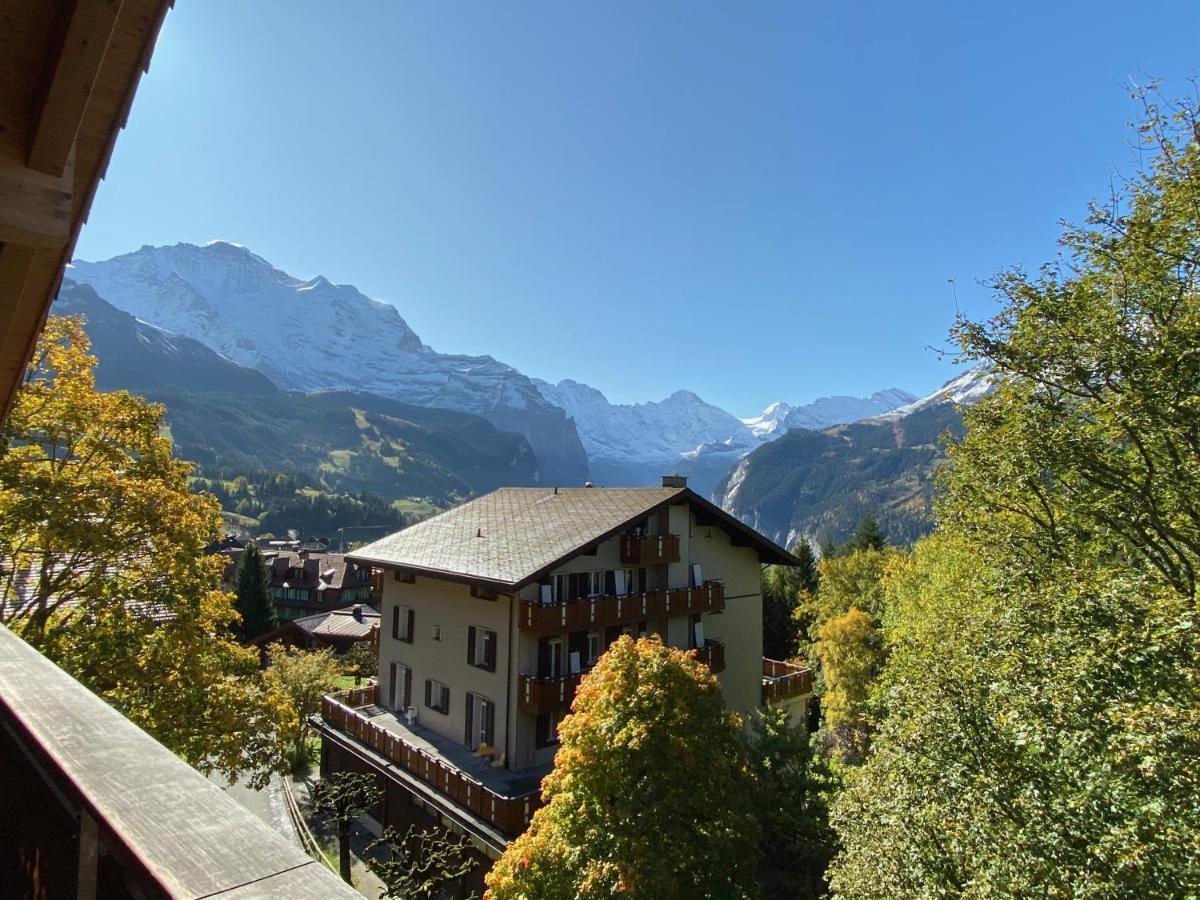 Chalet Bergfrieden Penthouse Leilighet Wengen Eksteriør bilde